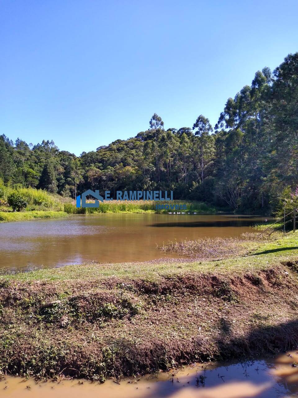 Fazenda à venda com 5 quartos, 85000m² - Foto 5