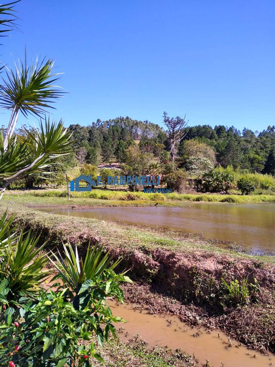 Fazenda à venda com 5 quartos, 85000m² - Foto 21