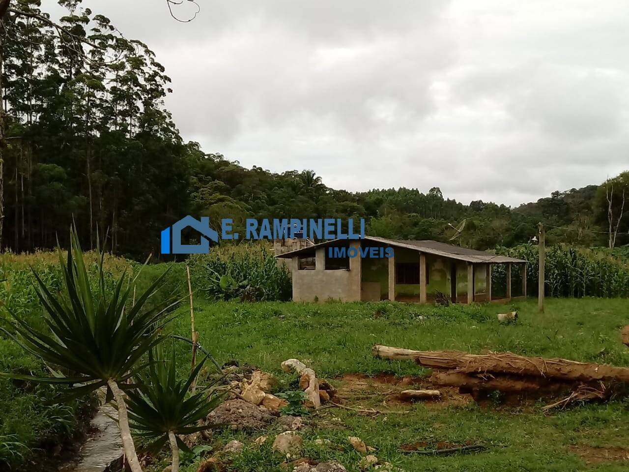 Fazenda à venda com 5 quartos, 85000m² - Foto 34