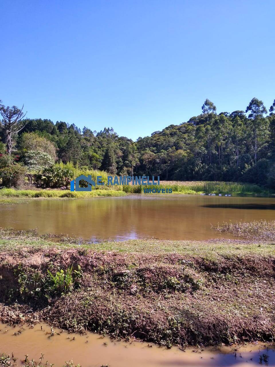 Fazenda à venda com 5 quartos, 85000m² - Foto 36